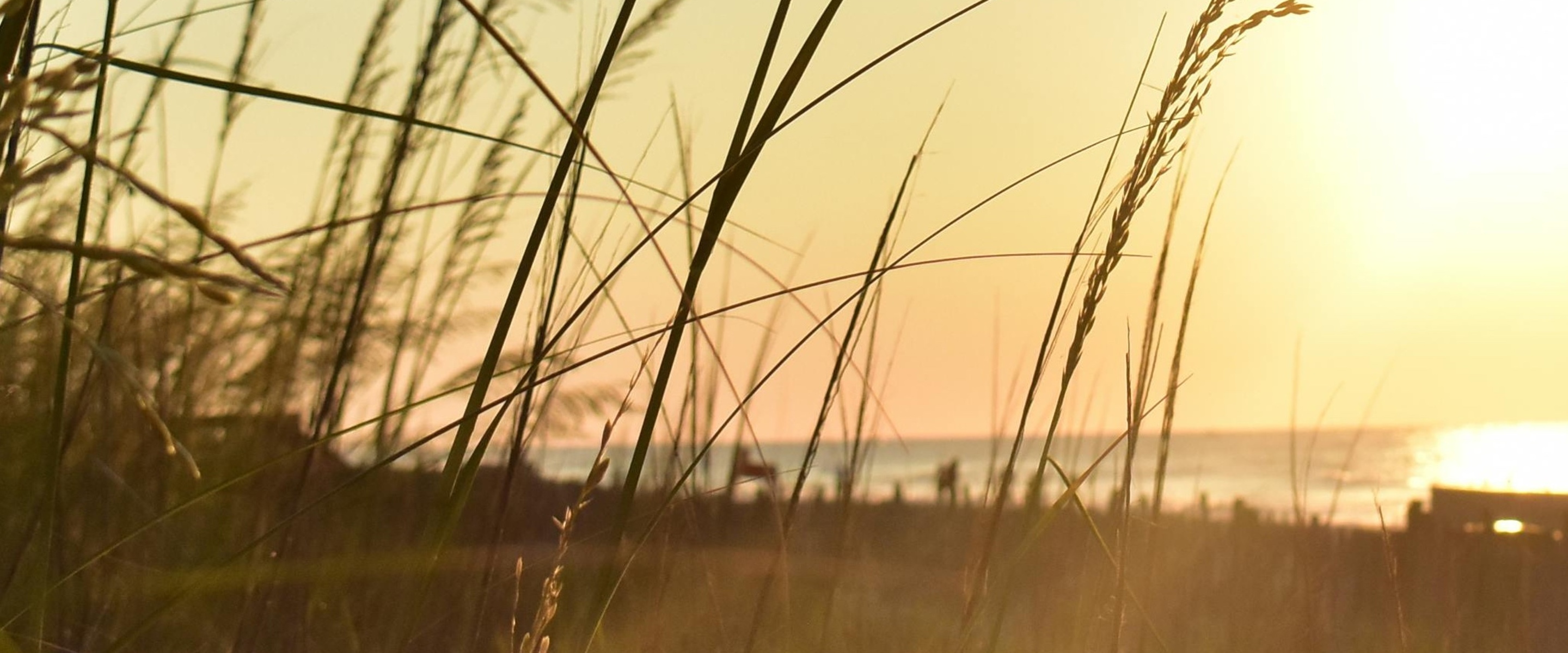 SECU: Delivering Coastal Stability Nationwide 
